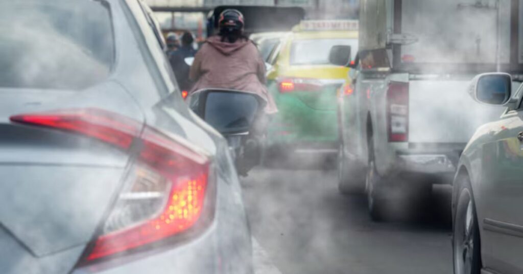 Impactul poluării aerului asupra sarcinii