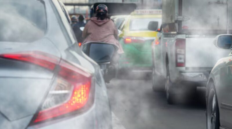 Impactul poluării aerului asupra sarcinii