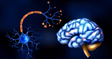 Cum hranim si protejam creierul nostru