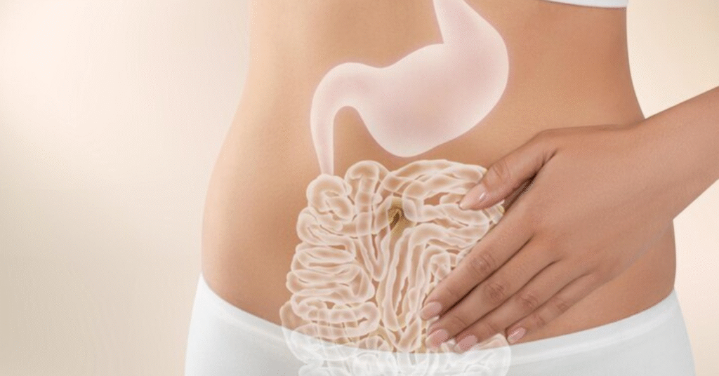 Digestia intestinală. Sucul pancreatic și bila