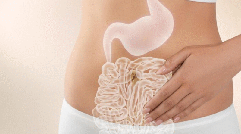 Digestia intestinală. Sucul pancreatic și bila