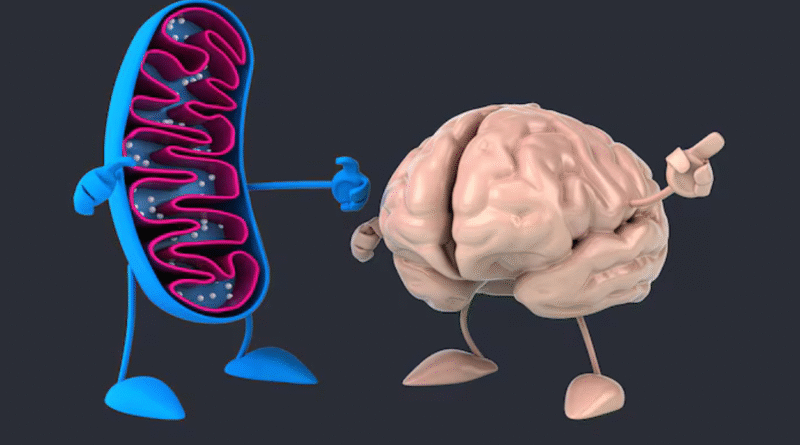 Creierul și bolile metabolice